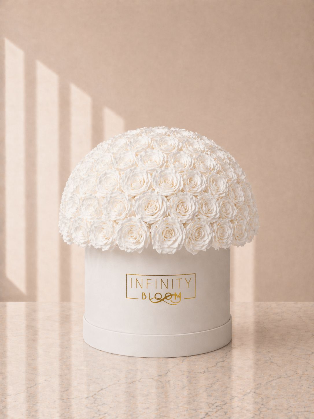The Dome Box (Small)